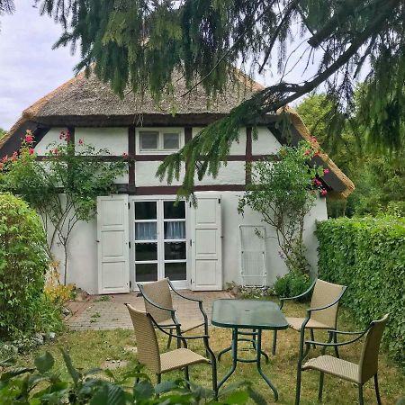 Kleine Reetgedeckte Doppelhaushaelfte In Idyllischer Lage Nardevitz Exterior photo