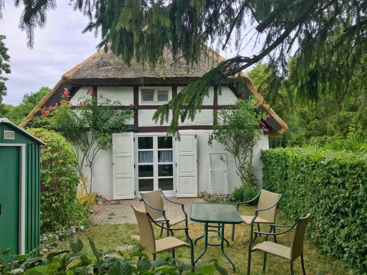 Kleine Reetgedeckte Doppelhaushaelfte In Idyllischer Lage Nardevitz Exterior photo